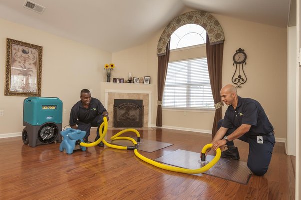 Water Extraction service in Sun Valley CA