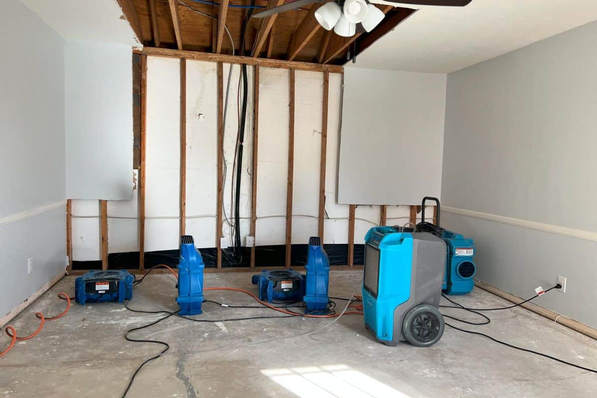 Basement & Crawl Space Drying service in Sun Valley CA